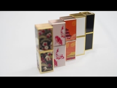 Tubi vuoti su ordinazione del rossetto dei contenitori di lucentezza del labbro dell'OEM con il prezzo all'ingrosso